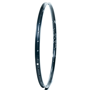 Aro Absolute Wild TL  Disc. 29x28F Preto