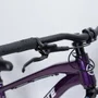 Bicicleta Absolute Brutus Pro  Aro 26 Roxo