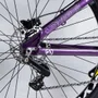 Bicicleta Absolute Brutus Pro  Aro 26 Roxo