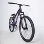 Bicicleta Absolute Brutus Pro  Aro 26 Roxo