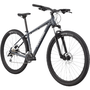 Bicicleta Cannondale Trail 6 Cinza